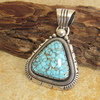 Navajo Wil Vandever ターコイズマウンテンTQ ペンダントトップ画像