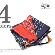 HAV-A-HANK SPLIT-PAISLEY画像