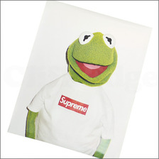 Supreme x Terry Richardson Kermit Poster ポスター WHITE画像