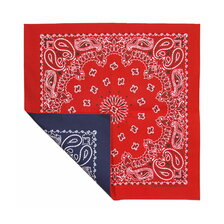 HAV-A-HANK BANDANA REVERSIBLE PAISLEYS MADE IN THE USA Navy / Red Paisley B22REV-000504画像