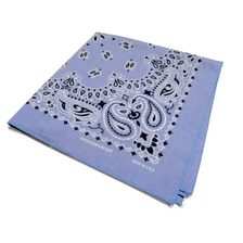 HAV-A-HANK CHAMBREY PAISLEY made in U.S.A画像