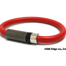 LOUIS VUITTON ダミエ・アンフィニ コンポジット RED画像