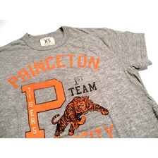 TAILGATE VINTAGE S/S PRICETON TEE grey画像