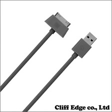 incase 10' Sync and Charge Cable for iPod, iPad and iPhone Slate EC20055画像
