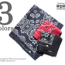 HAV-A-HANK BIG BANDANNA TEXAS画像