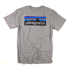 patagonia P-6 LOGO 51865画像