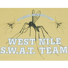 SPIEWAK 半袖 Tシャツ ST906画像