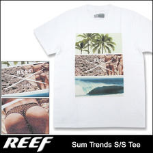 REEF Sum Trends S/S Tee RF14A-AML185画像