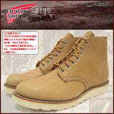 RED WING 8199 6インチ プレーン トゥ ブーツ ベージュ レザー画像