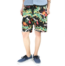 Wild Things SUMMER COKE CLIMBING SHORT 14SSWT070013画像