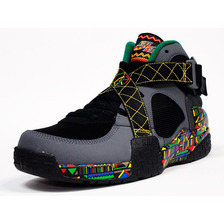 NIKE AIR RAID "URBAN JUNGLE GYM" "LIMITED EDITION for NSW BEST" BLK/GRY/MULTI 642330-003画像