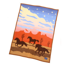 PENDLETON ワイルドホースムチャチョ Blanket ZD608-52952画像