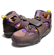 NIKE AIR TRAINER HUARACHE cappuccino/del sol-prim violet capcno/jnesol-prmvlt 679083-271画像