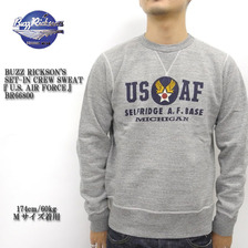 Buzz Rickson's SET-IN CREW SWEAT 「U.S. AIR FORCE」 BR66800画像