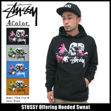 STUSSY Offering Hooded Sweat 1923368画像