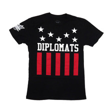 DIPSET USA STARS&STRIPES TEE画像