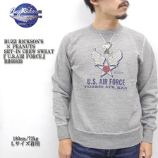 Buzz Rickson's × PEANUTS SET-IN CREW SWEAT 「U.S.AIR FORCE」 BR66839画像