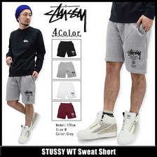 STUSSY WT Sweat Short 195016画像