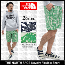 THE NORTH FACE Novelty Flexible Short NB41579画像