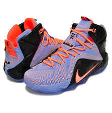 NIKE LEBRON XII "EASTER" aluminum/s.glw-ht lv-blk 684593-488画像
