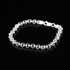 Wells Sterling Charm SV BRACELET RL180 21cm画像