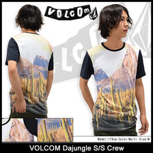 VOLCOM Dajungle S/S Crew A0121505画像