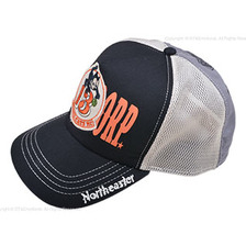 TOYS McCOY MESH CAP FELIX THE CAT &ldquo;BLACK CATS MC&rdquo; TMA1509画像