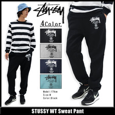 STUSSY WT Sweat Pant 195021画像