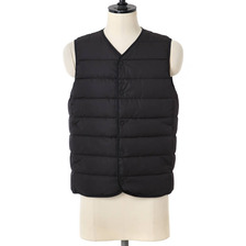 STAMMBAUM STM Aspen-V画像