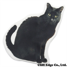 the POOL aoyama &times; UNDERCOVER BLACKCAT POUCH BLACK画像