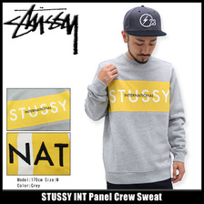 STUSSY INT Panel Crew Sweat 118142画像