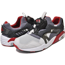PUMA DISC BLAZE 3D FAST FWD 2 glacir gray-steel gray-red 358910-02画像