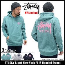 STUSSY Stock New York FA15 Hooded Sweat NY Limited 3922933画像
