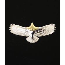 WING ROCK Eagle Pendant top Diamond-S EPD-S画像