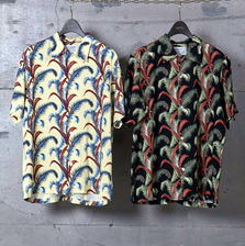 STAMMBAUM Fern-SS 1602-8-36画像