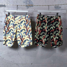 STAMMBAUM Fern-SP 1602-8-37画像