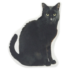 the POOL aoyama &times; UNDERCOVER BLACKCAT POUCH BLACK画像