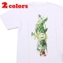 the POOL aoyama &times; AMKK FRGMT FLOWER TEE画像