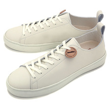 buddy Bull Terrier Low Smooth WHITE画像