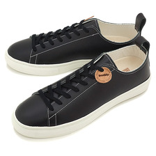 buddy Bull Terrier Low Smooth BLACK画像