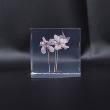 the POOL aoyama &times; AMKK FLOWER CUBE(S)画像