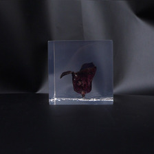 the POOL aoyama &times; AMKK FLOWER CUBE(S)画像