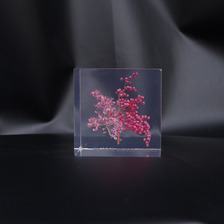 the POOL aoyama &times; AMKK FLOWER CUBE(S)画像