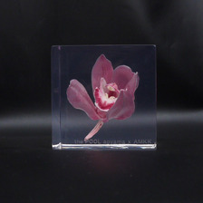 the POOL aoyama &times; AMKK FLOWER CUBE(S)画像