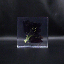 the POOL aoyama &times; AMKK FLOWER CUBE(S)画像