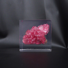 the POOL aoyama &times; AMKK FLOWER CUBE(S)画像