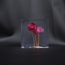 the POOL aoyama &times; AMKK FLOWER CUBE(S)画像