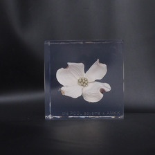 the POOL aoyama &times; AMKK FLOWER CUBE(S)画像