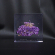 the POOL aoyama &times; AMKK FLOWER CUBE(S)画像