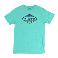 patagonia FITZ ROY CREST TEE画像